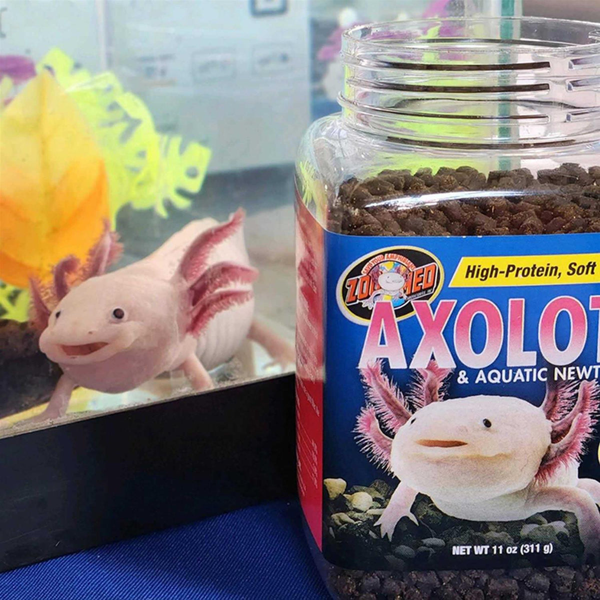 Aquatic Newt Food B597008