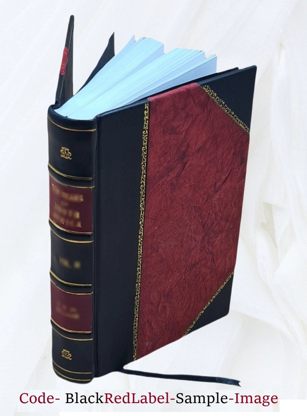 The errors of accommodation and refraction of the eye and their treatment R1958